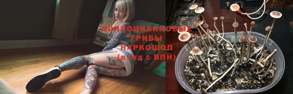 прущие грибы Абдулино