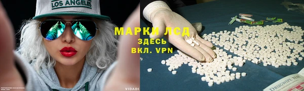 прущие грибы Абдулино