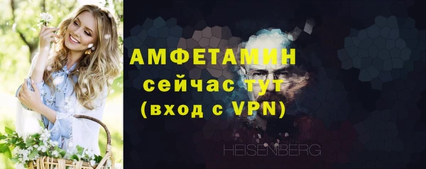 индика Пересвет