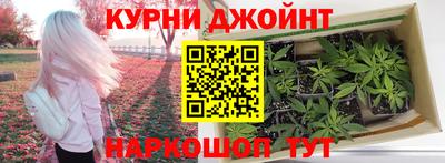 не бодяженный Сланцы