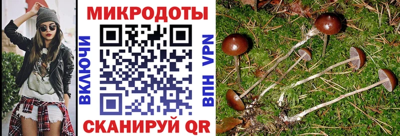 Псилоцибиновые грибы Magic Shrooms  купить   Прокопьевск 