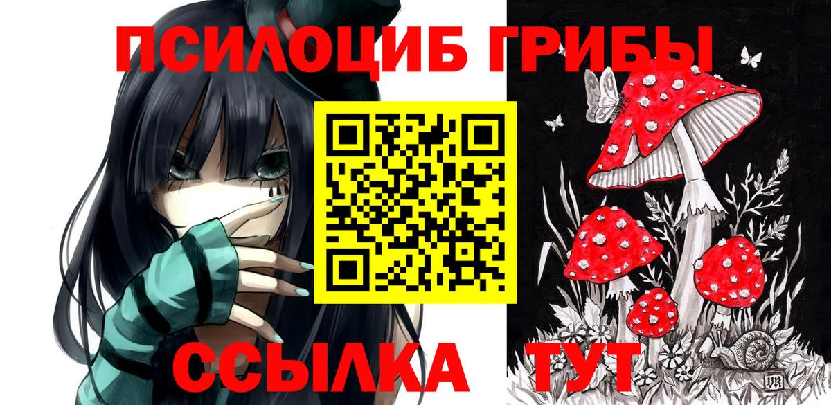 Псилоцибиновые грибы Прокопьевск