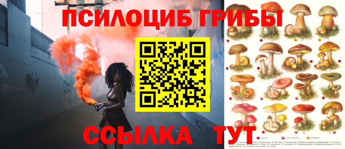 Псилоцибиновые грибы GOLDEN TEACHER  Вход с VPN  Прокопьевск  Псилоцибиновые грибы прущие грибы 