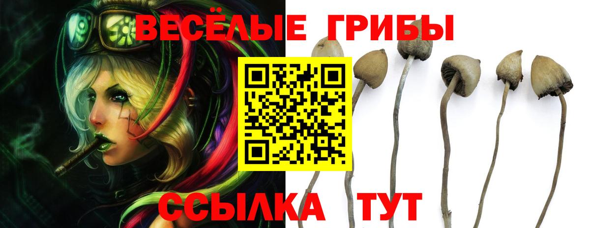 Галлюциногенные грибы ЛСД Прокопьевск